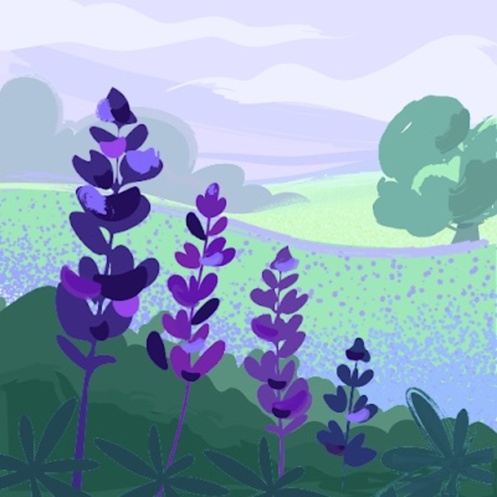 Meet your Posher, Brooklynn